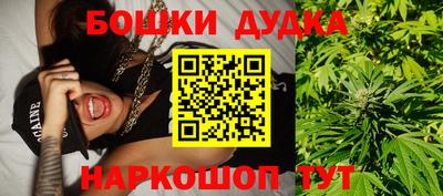 стаф Будённовск
