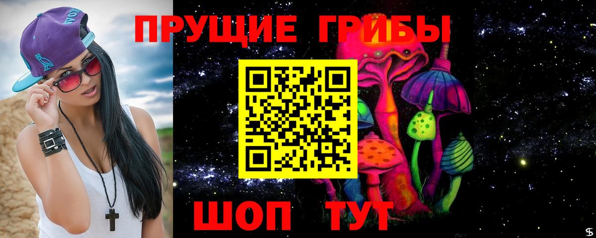 Псилоцибиновые грибы прущие грибы Курганинск